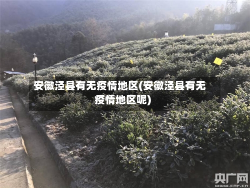 安徽泾县有无疫情地区(安徽泾县有无疫情地区呢)-第1张图片