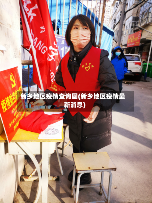 新乡地区疫情查询图(新乡地区疫情最新消息)-第3张图片