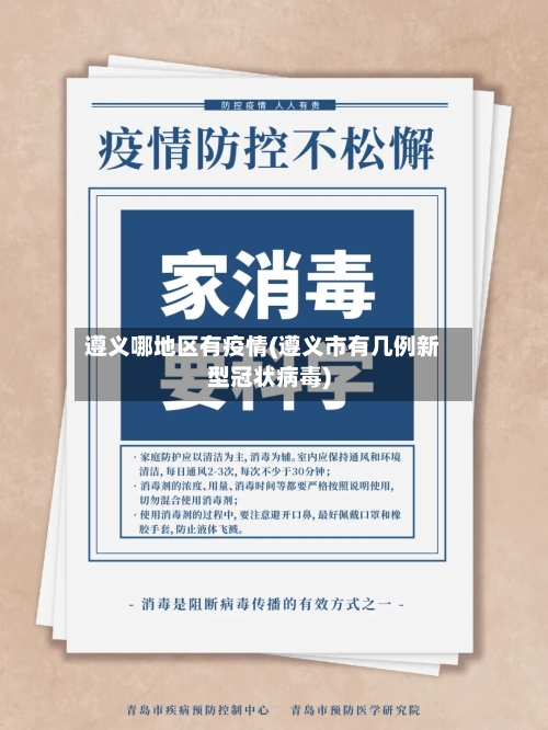 遵义哪地区有疫情(遵义市有几例新型冠状病毒)-第2张图片