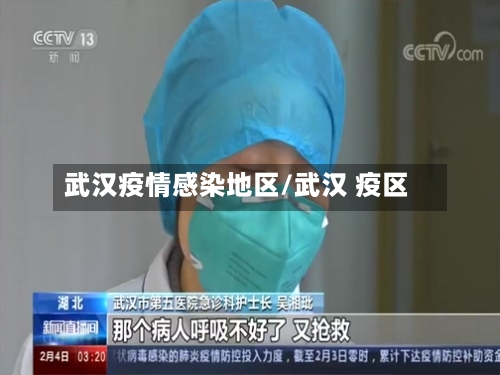 武汉疫情感染地区/武汉 疫区-第3张图片