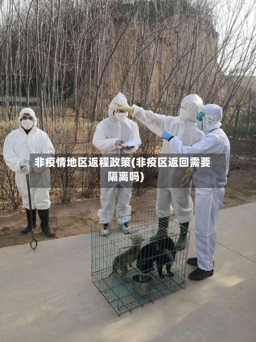 非疫情地区返程政策(非疫区返回需要隔离吗)-第1张图片