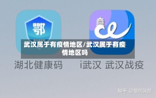 武汉属于有疫情地区/武汉属于有疫情地区吗-第1张图片