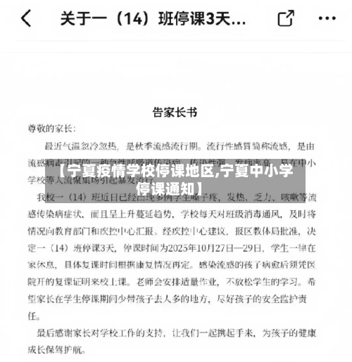 【宁夏疫情学校停课地区,宁夏中小学停课通知】-第2张图片