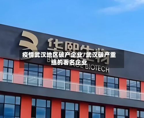 疫情武汉地区破产企业/武汉破产重组的著名企业-第1张图片