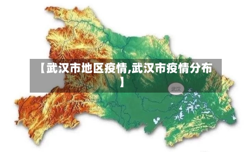 【武汉市地区疫情,武汉市疫情分布】-第1张图片