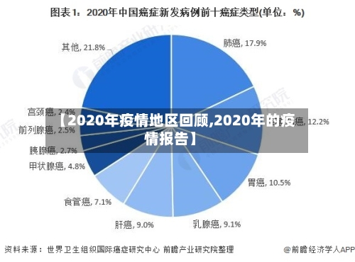【2020年疫情地区回顾,2020年的疫情报告】-第2张图片