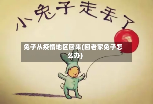 兔子从疫情地区回来(回老家兔子怎么办)-第1张图片