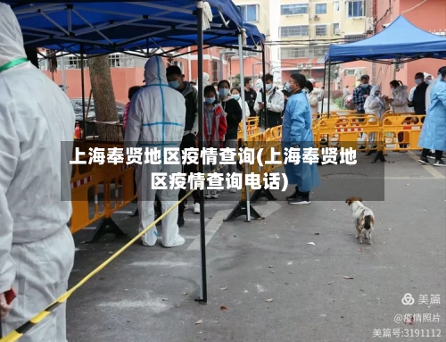 上海奉贤地区疫情查询(上海奉贤地区疫情查询电话)-第1张图片