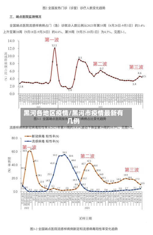 黑河各地区疫情/黑河市疫情最新有几例-第2张图片