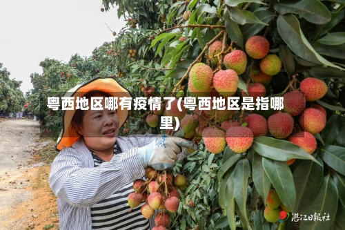 粤西地区哪有疫情了(粤西地区是指哪里)-第2张图片