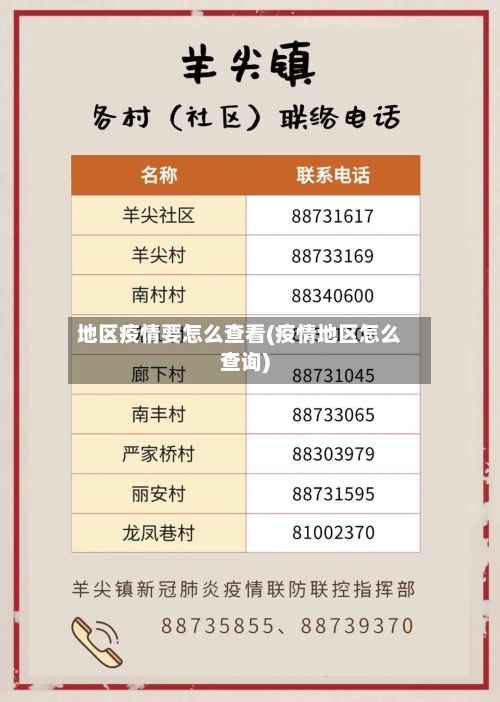 地区疫情要怎么查看(疫情地区怎么查询)-第3张图片